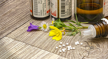 Ayurvedic Supplements for Modern Life: What You Need to Know