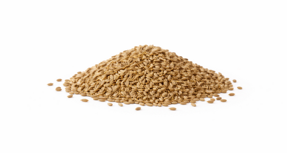 Ajwain Oil