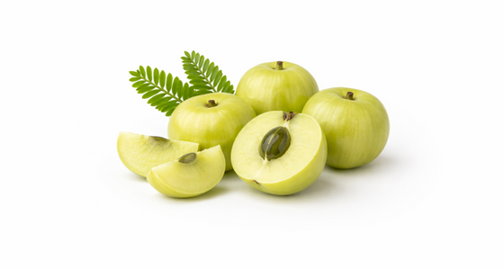 Amla Extract