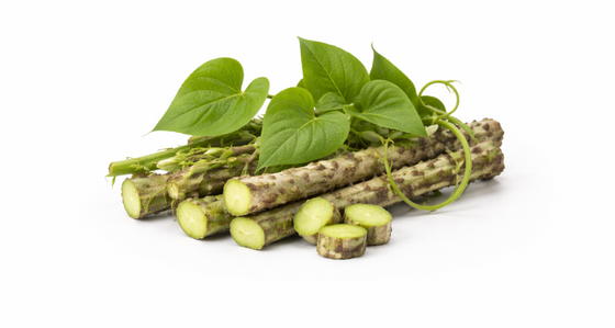 Guduchi Extract