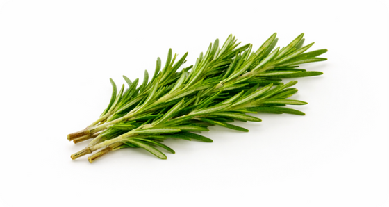 Rosemary